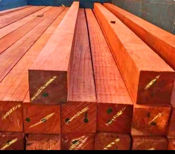 Jual Kayu Kompas