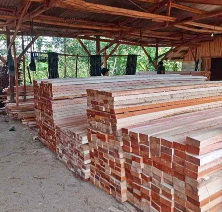 Jual Kayu Meranti