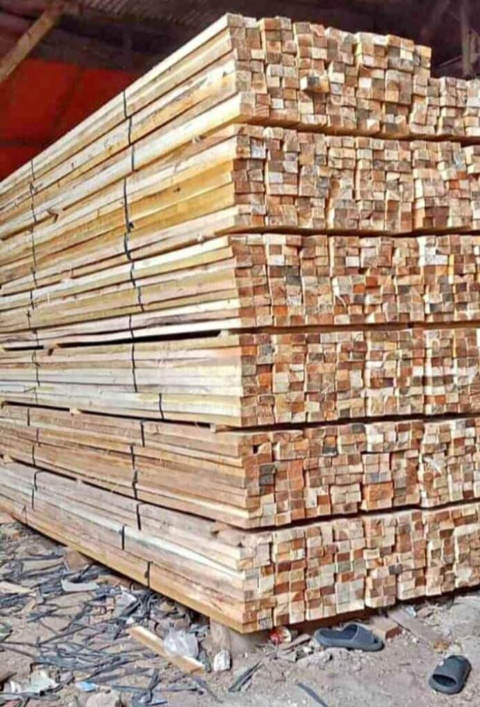 Jual Kayu Borne