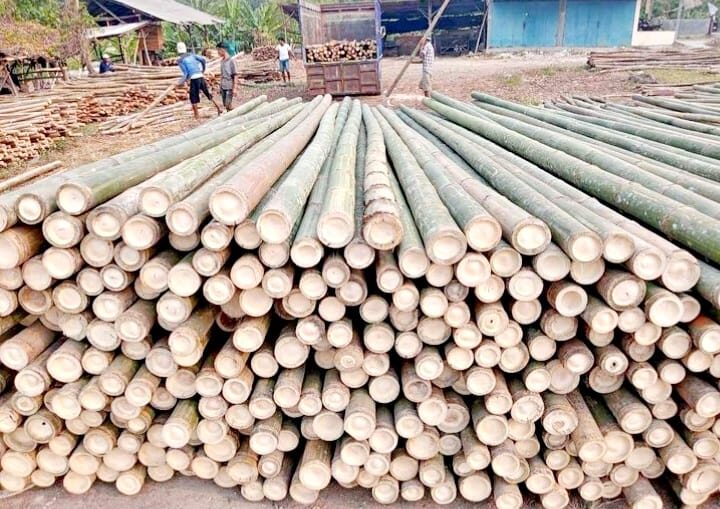 Jual Bambu
